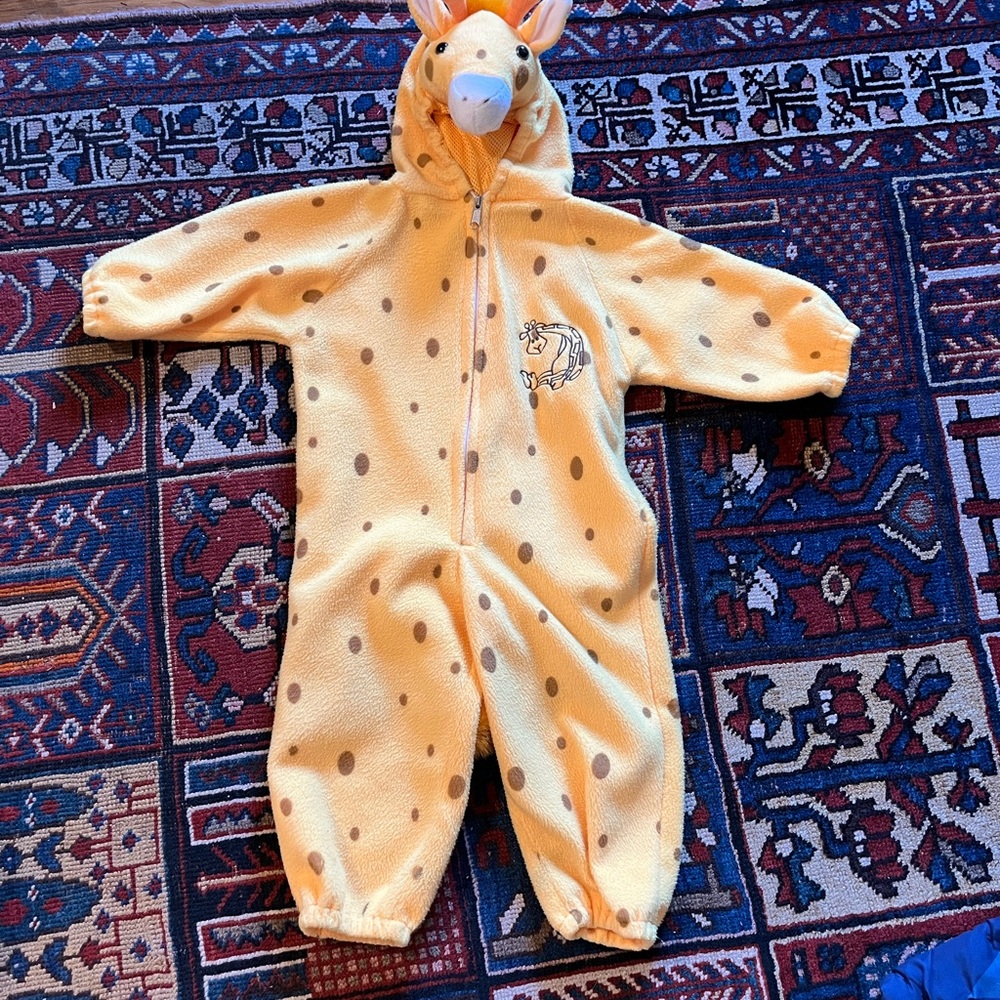 Kids giraffe costume
